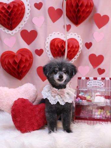 20240215ヒナちゃん